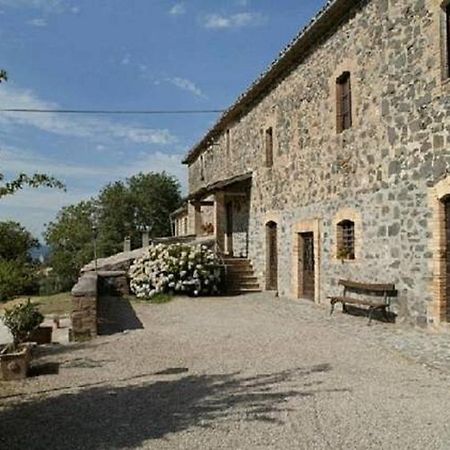 La Fattoria La Cacciata Orvieto Exteriör bild